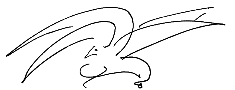 06082024-ptica-2.png